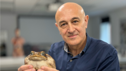 Tajemství lidského mozku