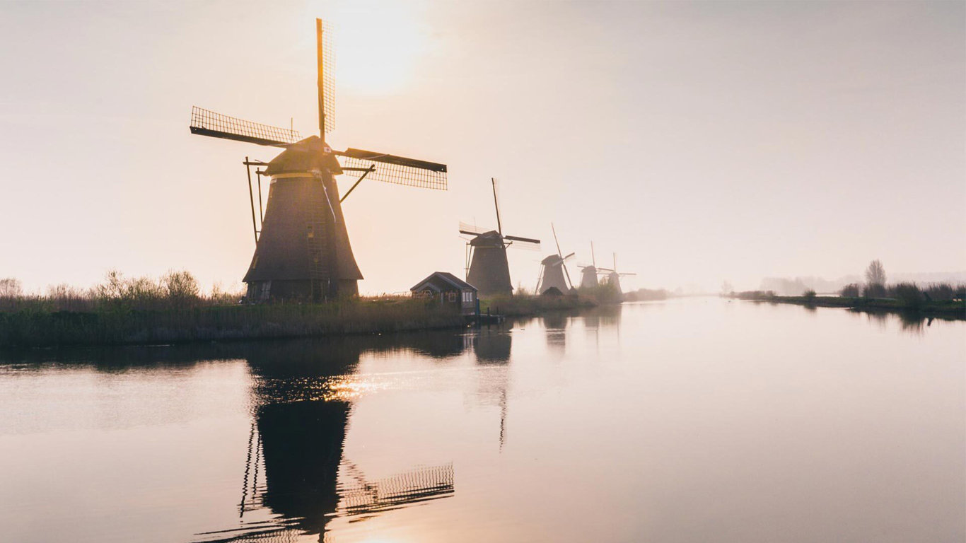 Divočina v kraji větrných mlýnů