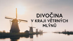 Divočina v kraji větrných mlýnů
