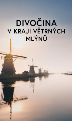 Divočina v kraji větrných mlýnů