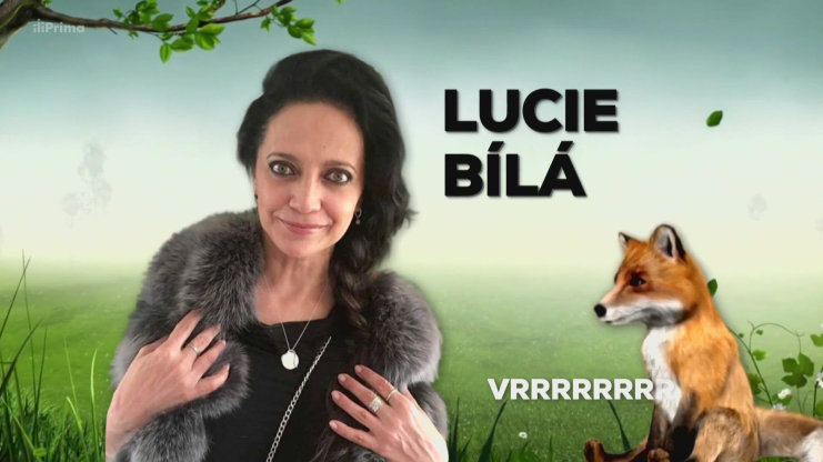 Náhled videa