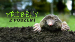 Příběhy z podzemí