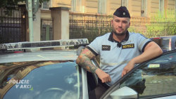 Policie v akci