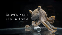 Člověk proti chobotnici
