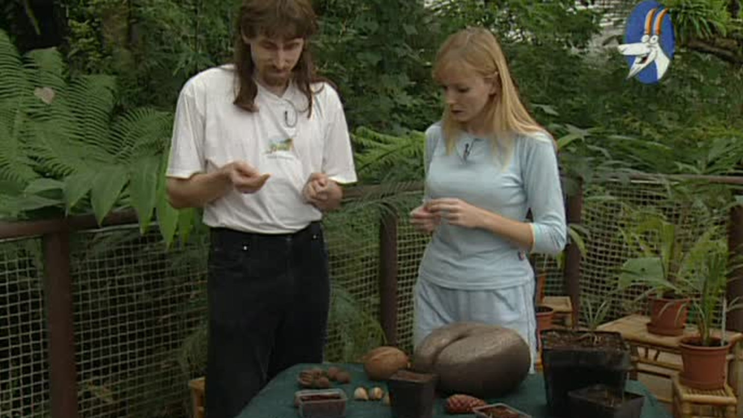 Receptář prima nápadů 2005 (6)