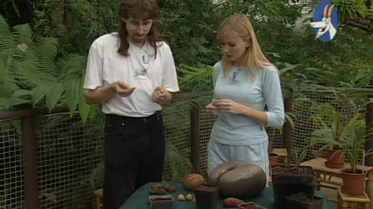 Receptář prima nápadů 2005 (6)