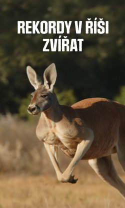 Rekordy v říši zvířat
