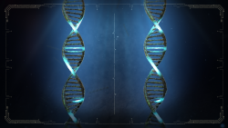 Newgrange: Vládci neolitu