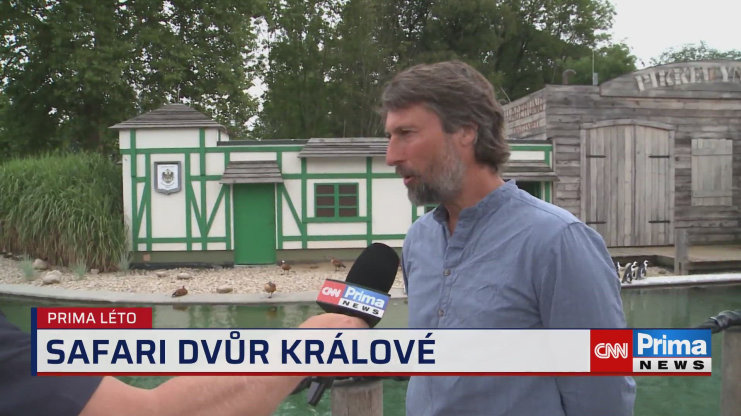 Náhled videa