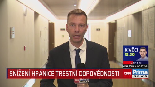 Tejc navrhuje snížení hranice trestní odpovědnosti