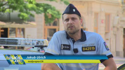 Policie v akci