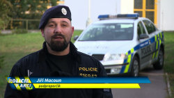 Policie v akci