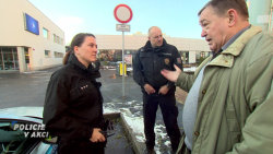 Policie v akci