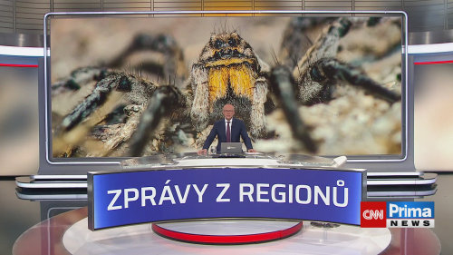 ZPRÁVY Z REGIONŮ - 21.6. v 17:25