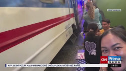 Fotky zabíjí více než žraloci