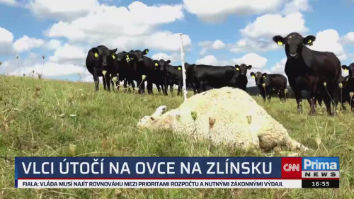 ZPRÁVY Z REGIONŮ - 1.9. v 16:55
