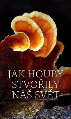 Jak houby stvořily náš svět