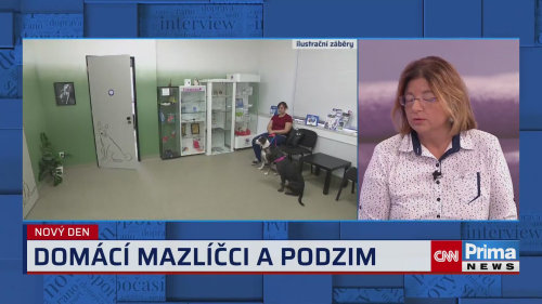 Jak na podzim pečovat o mazlíčky, poradí veterinární lékařka