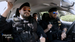 Policie v akci