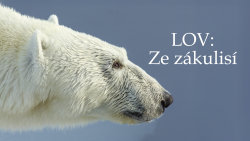 Lov: Ze zákulisí