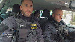 Policie v akci