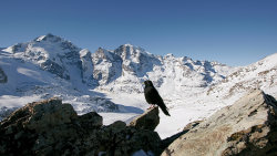 Zima ve Švýcarských Alpách