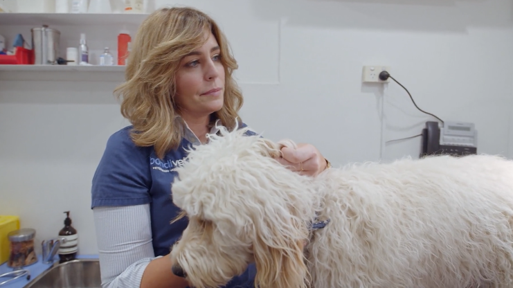 Veterinář z Bondi Beach S11 (14)