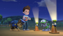 Tlapky zachraňují svatbu / Tlapky zachraňují Ace