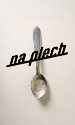 Na plech
