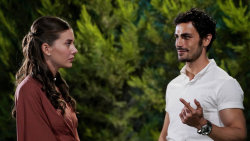 Láska s vůní oliv