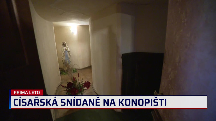 Náhled videa