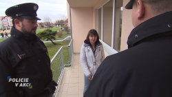Policie v akci