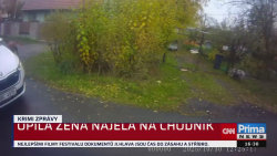 KRIMI ZPRÁVY - 2.11. v 16:30