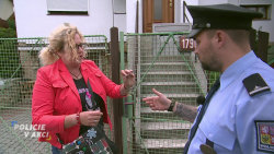 Policie v akci