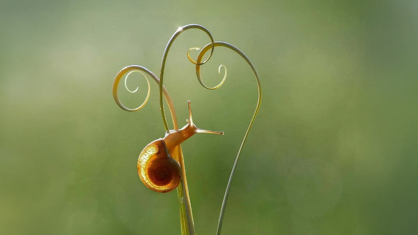 Co se děje v záhoně