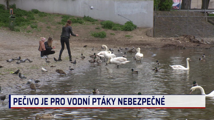 Náhled videa