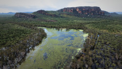 Kakadu: Australský klenot
