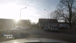 Policie v akci