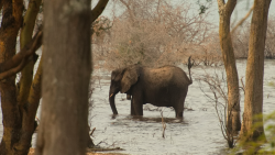 Jezero Tanganika: Modré srdce Afriky