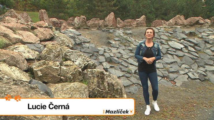 Náhled videa