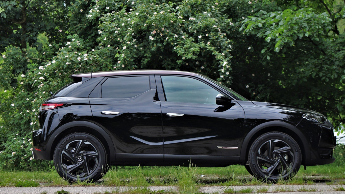 Autosalon 2019 (42)