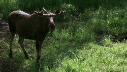 Národní park Gauja 