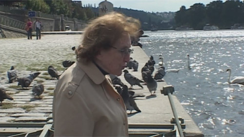 Prostřeno! II II (53)