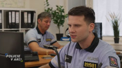 Policie v akci