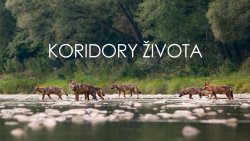 Koridory života
