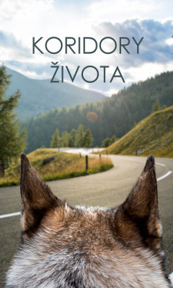 Koridory života