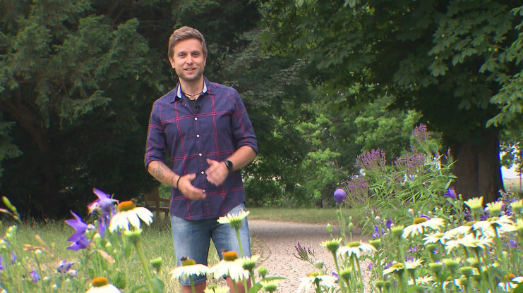 PRIMA MAZLÍČEK - (S19E19)