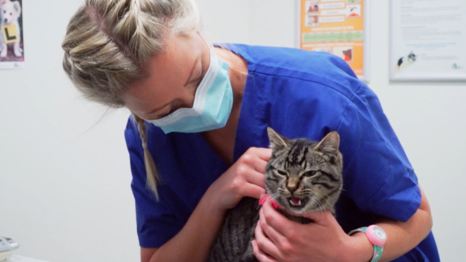Veterinář z Bondi Beach XI (4)