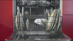 SHOWTIME - 25.10. v 19:55