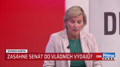 Divoká karta, 12.6. v 14:20 - Jana Mráčková Vildumetzová, Tomáš Goláň
